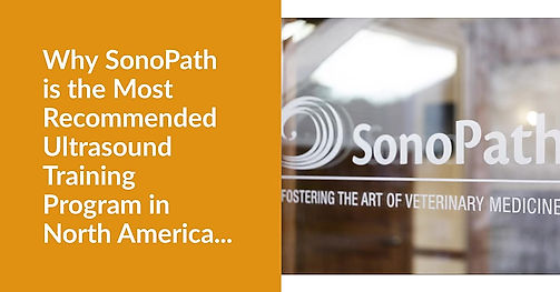 Why SonoPath is the # Recommended Program in the US